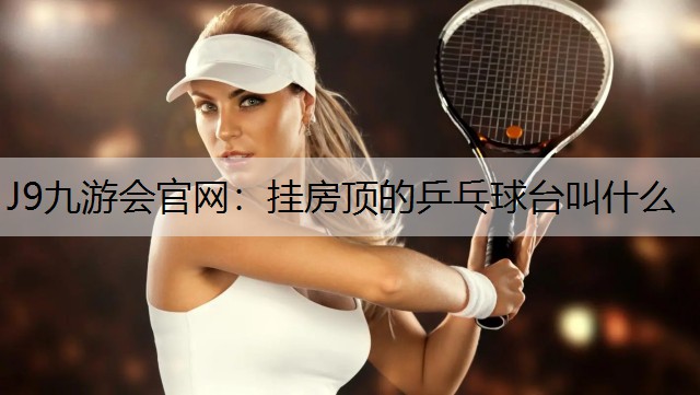 J9九游会官网：挂房顶的乒乓球台叫什么