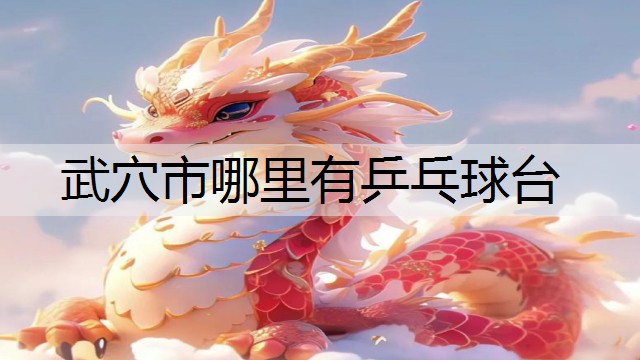 武穴市哪里有乒乓球台