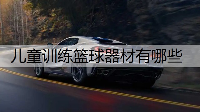 儿童训练篮球器材有哪些