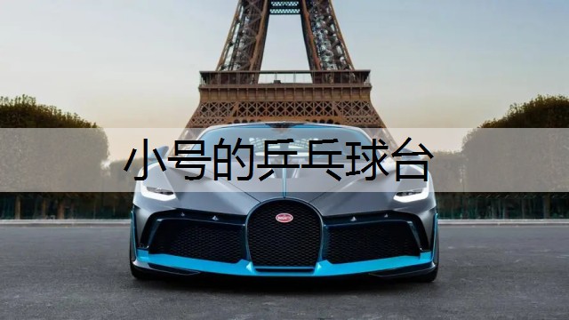 小号的乒乓球台