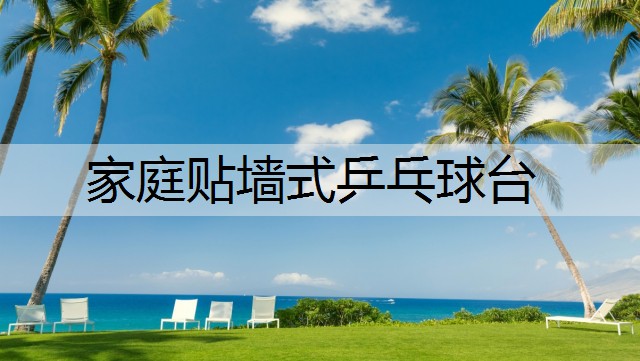 家庭贴墙式乒乓球台