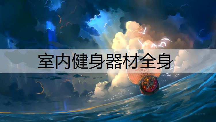 室内健身器材全身
