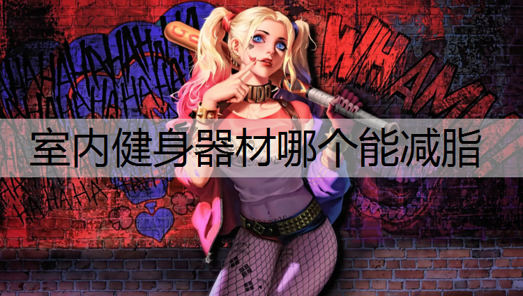 室内健身器材哪个能减脂