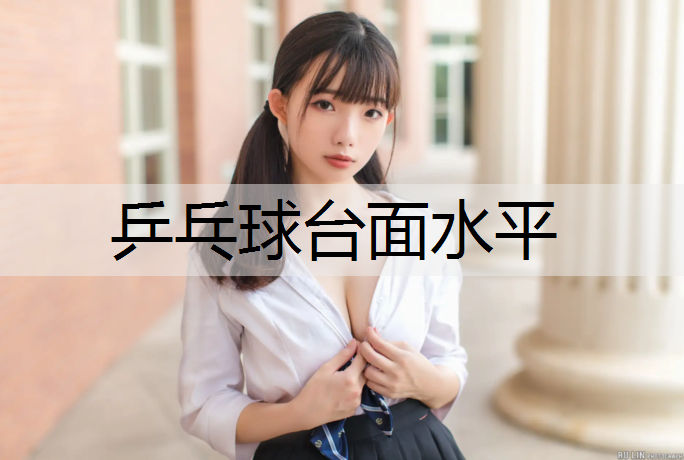 乒乓球台面水平