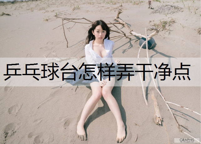 乒乓球台怎样弄干净点