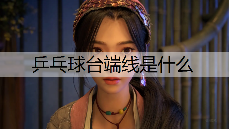 乒乓球台端线是什么