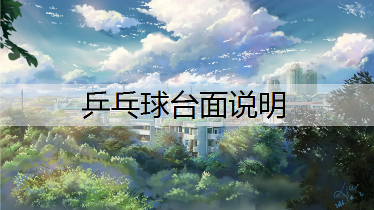 乒乓球台面说明