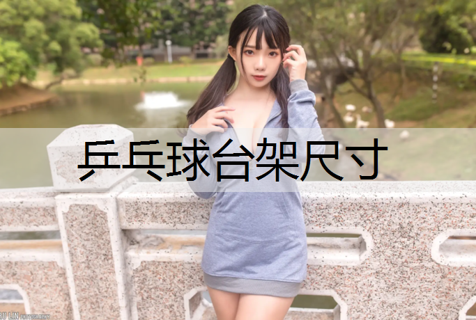 乒乓球台架尺寸