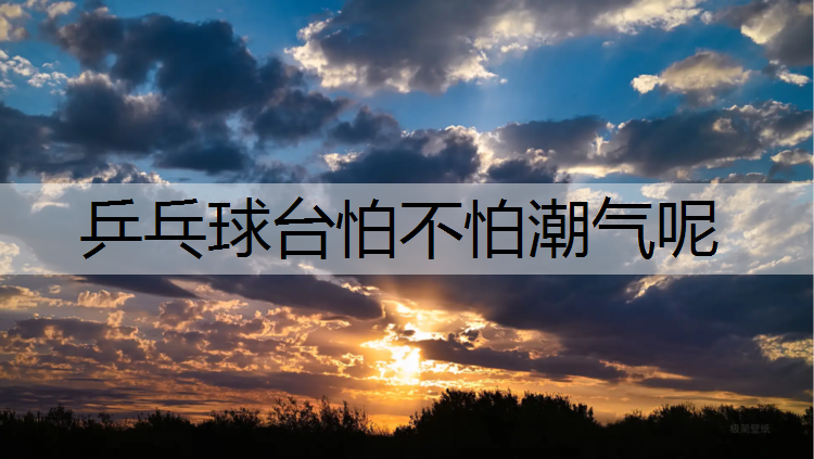 乒乓球台怕不怕潮气呢