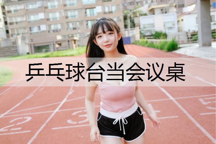 乒乓球台当会议桌