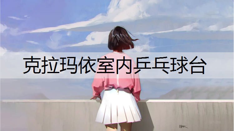 克拉玛依室内乒乓球台