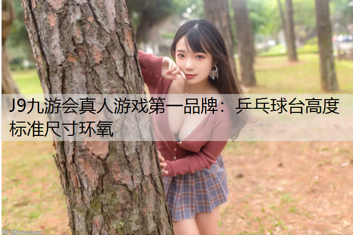 乒乓球台高度标准尺寸环氧