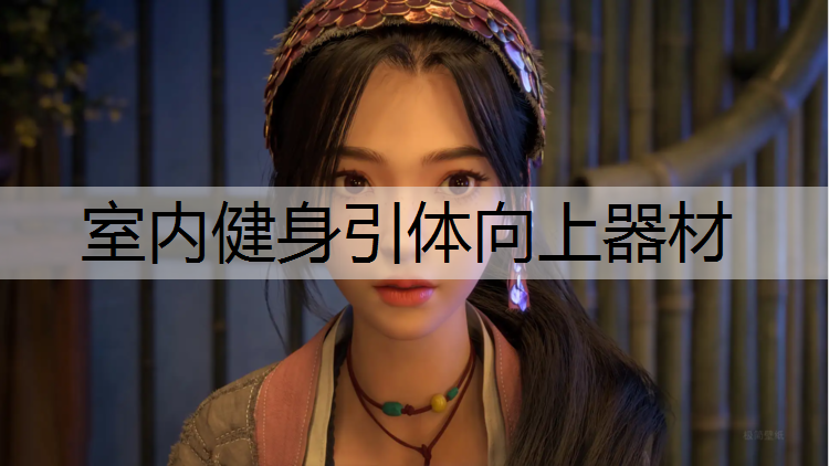 室内健身引体向上器材