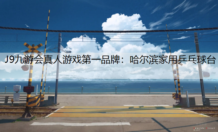 哈尔滨家用乒乓球台