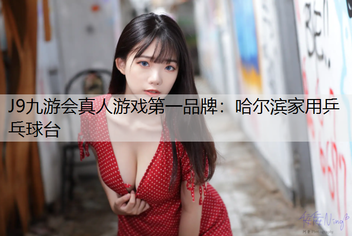 哈尔滨家用乒乓球台